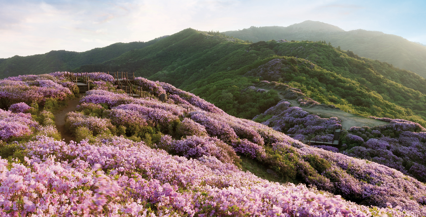 Jirisan mountain