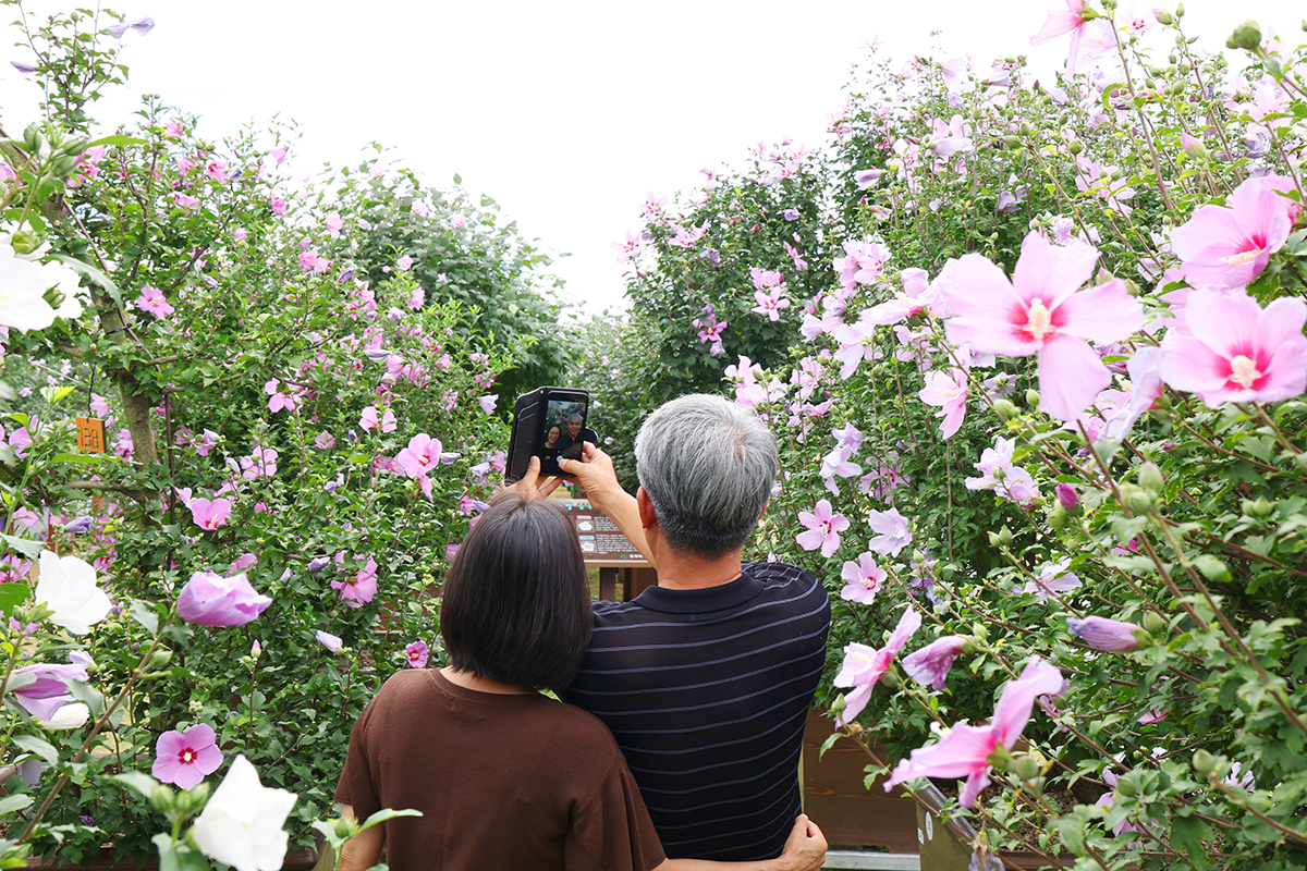 today_photo_250814
