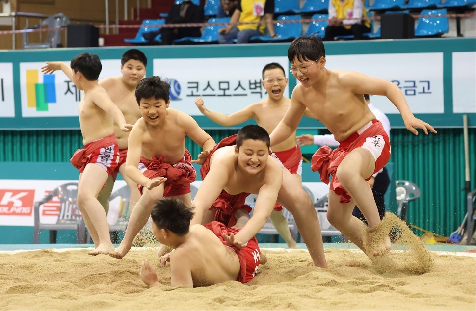 한국문화홍보원 한국문화홍보원
