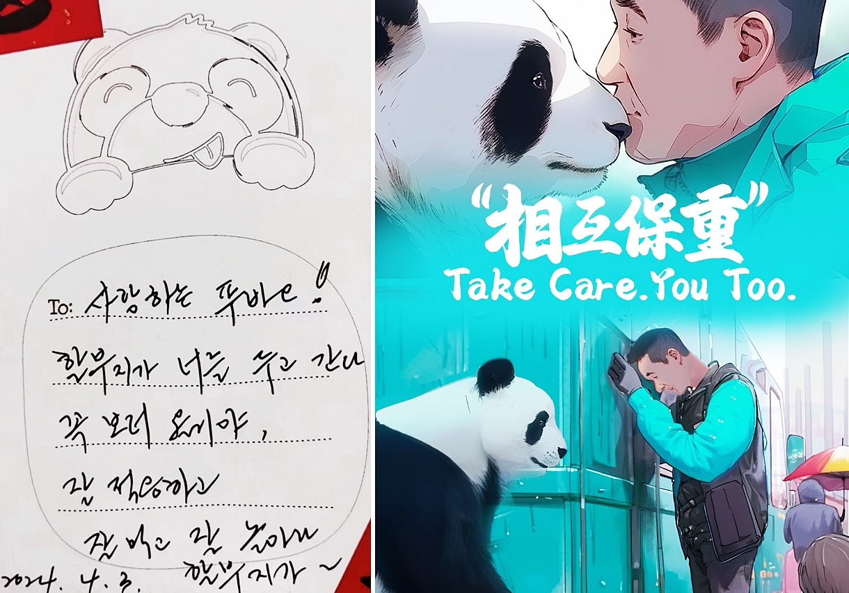 ▲ 강철원 사육사가 푸바오를 배웅하고 머물렀던 중국 숙소에 남기고 간 손편지(왼쪽)와 중국 관영 중앙TV(CCTV)에서 운영하는 판다 전용 온라인 채널 아이판다(Ipanda)에 게재한 푸바오 게시물. 숙소 SNS, 아이판다 공식 인스타그램 
