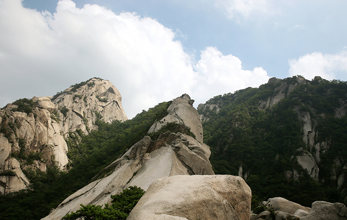 서울의 비경을 보다