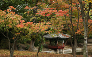 “한국의 가을, 도심에서도 즐겨요”