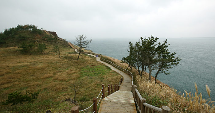 걸으며 제주도의 속살을 보다