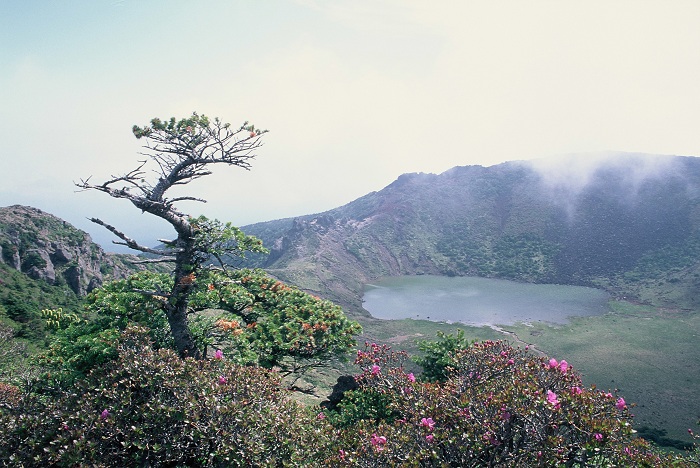제주 한라산 사계를 한 눈에