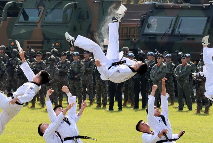 [사진으로 보는 한국] 국군의 날 '태권'