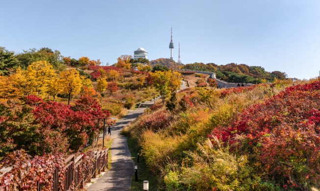 서울 가을 명소 1위 경복궁···SNS 언급량 최다