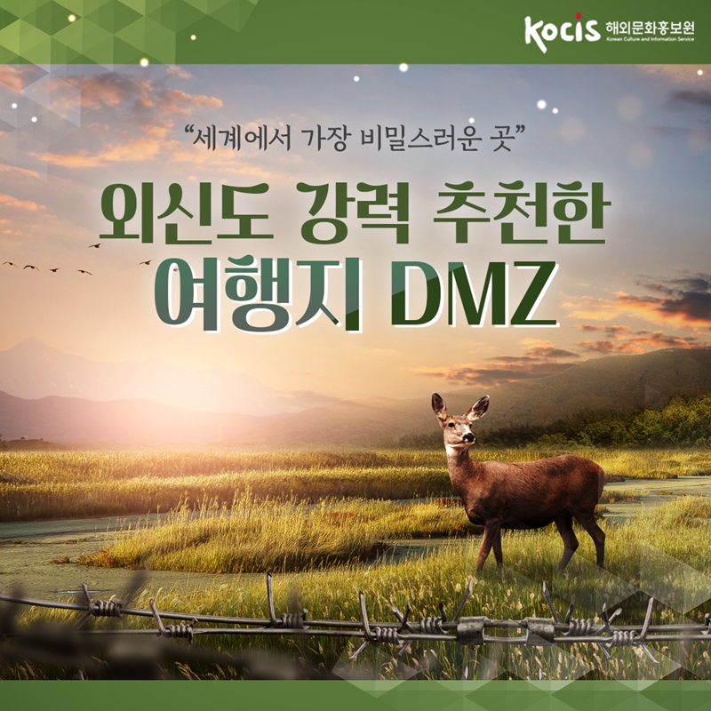 "세계에서 가장 비밀스러운 곳"  외신도 강력 추천한 여행지 DMZ    이미지 출처 : 연합뉴스