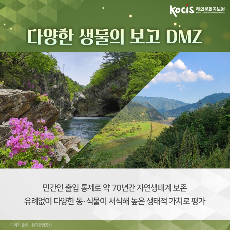 다양한 생물의 보고 DMZ      민간인 출입 통제로 약 70년간 자연생태계 보존 유례없이 다양한 동·식물이 서식해 높은 생태적 가치로 평가  이미지 출처 : 한국관광공사