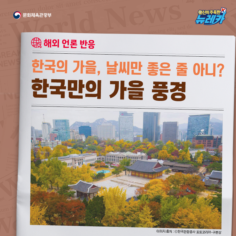 [해외 언론 반응] 한국의 가을, 날씨만 좋은 줄 아니? 한국만의 가을 풍경