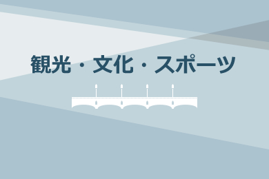 문화체육관광