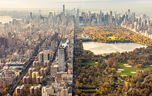 New York City